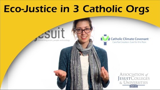 Eco-Justice Profile for 3 Catholic Organizations