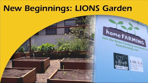 New Beginnings: LIONS Sustainable Garden