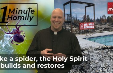 A Walk in the Woods | One-Minute Homily