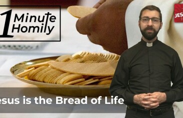 Back to the Basics | One-Minute Homily