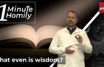 Wisdom and Freedom | One-Minute Homily